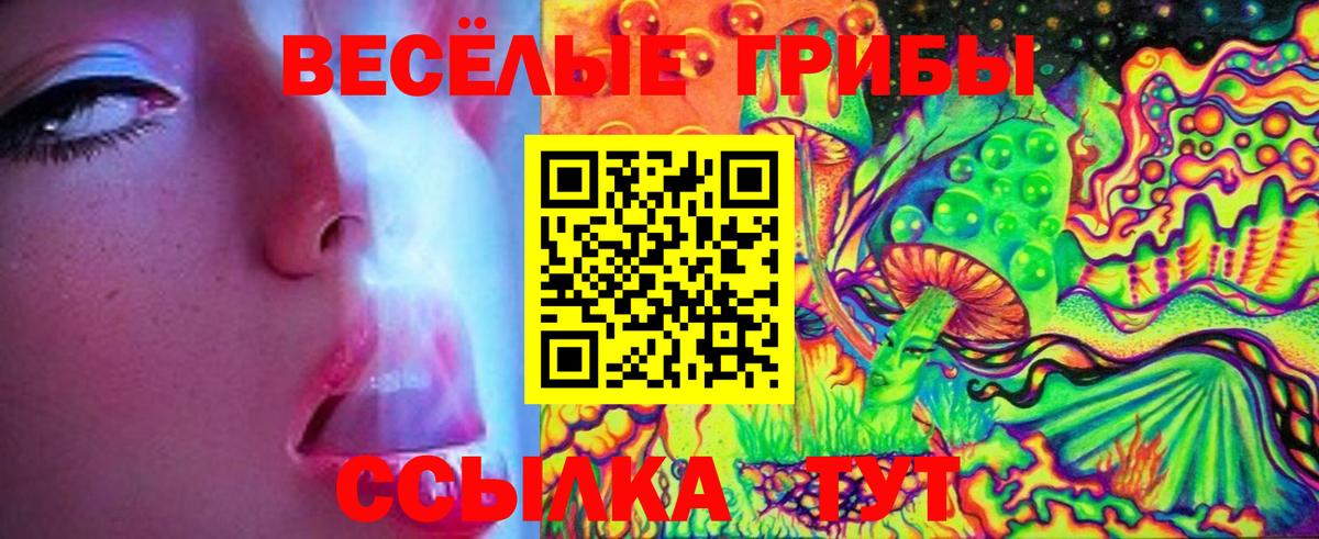 Донской  Псилоцибиновые грибы Psilocybe  Вход с VPN 