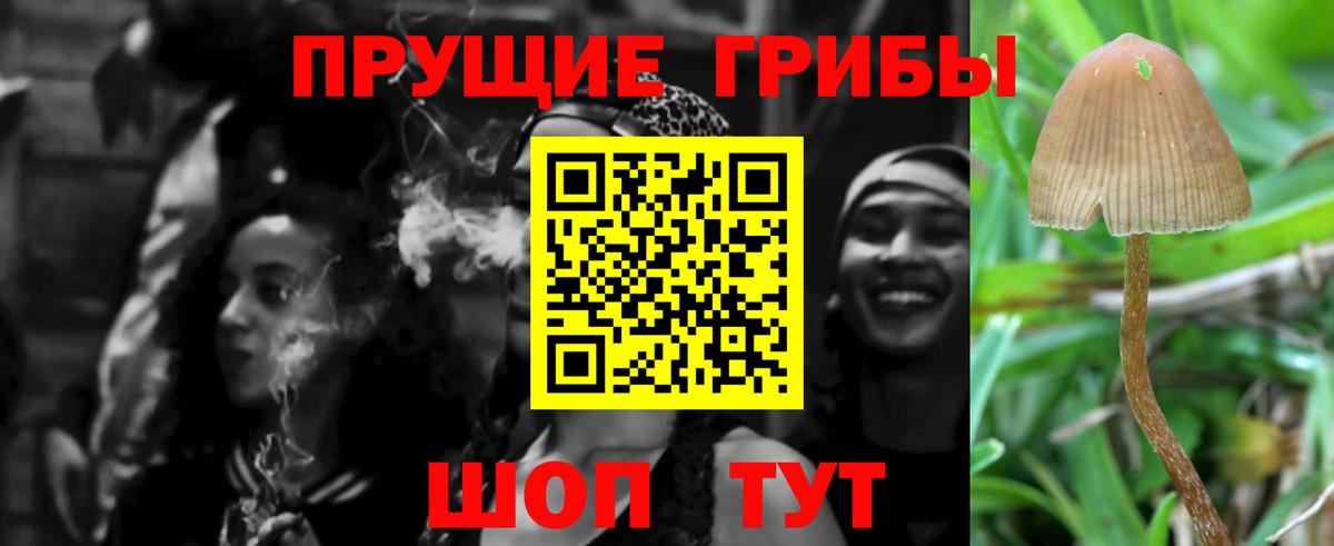 Галлюциногенные грибы мухоморы Донской
